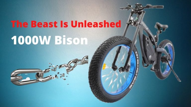 1000W Bison